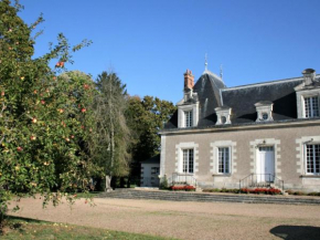 Gîte de charme avec piscine chauffée et sauna, au cœur d'une propriété historique en Val de Loire - FR-1-381-128